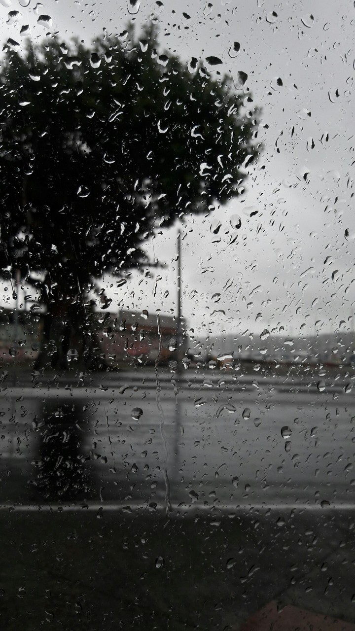 Behind a car's window... rainy day!