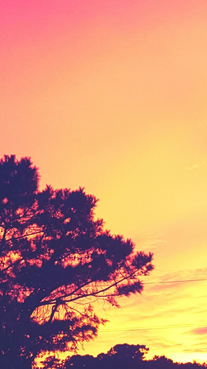 evening orange