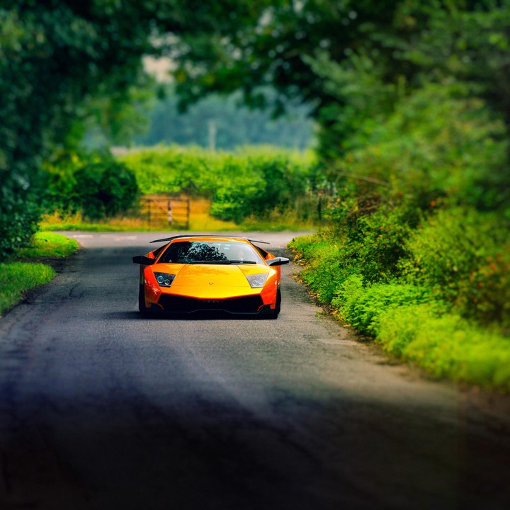 LAMBORGHINI
