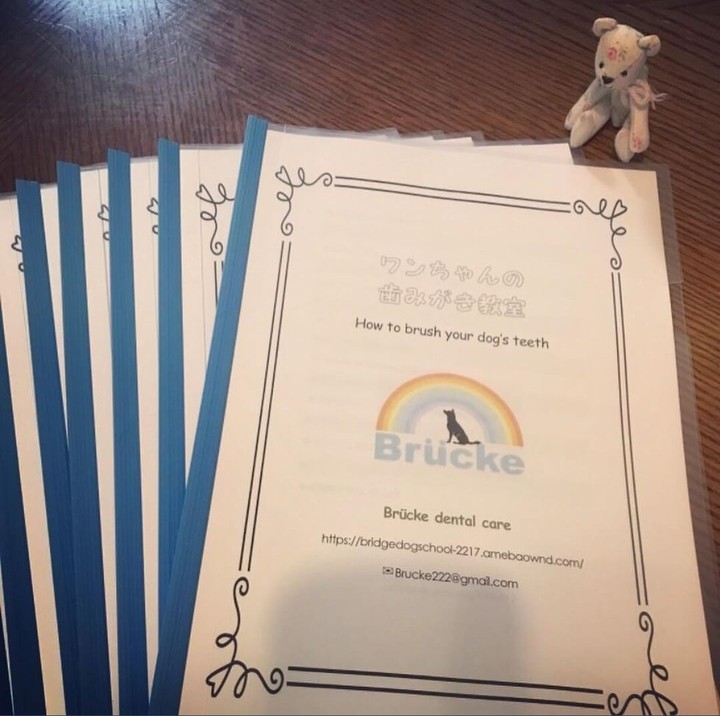 ノートが可愛い(*≧∀≦*)