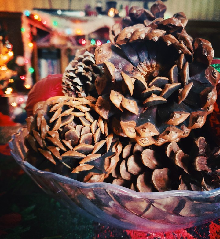 Christmas pinecones