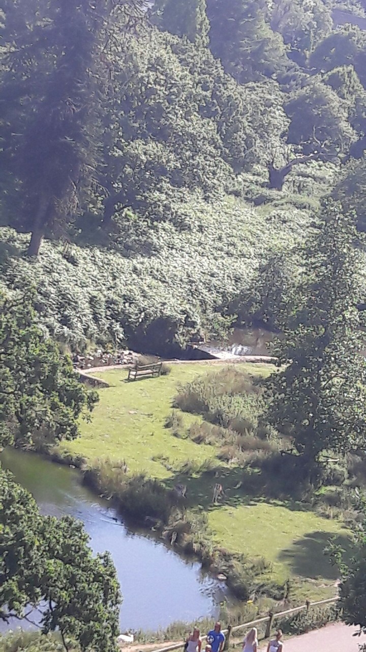 bradgate park