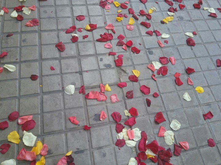 petalos