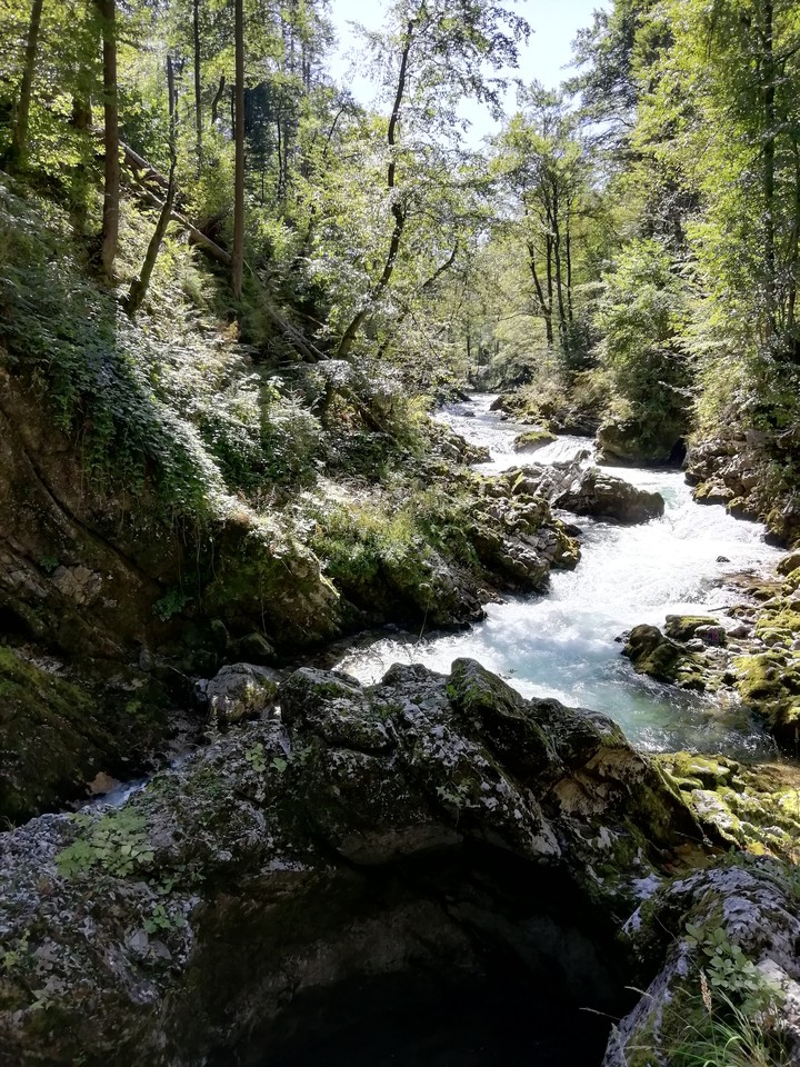 nature