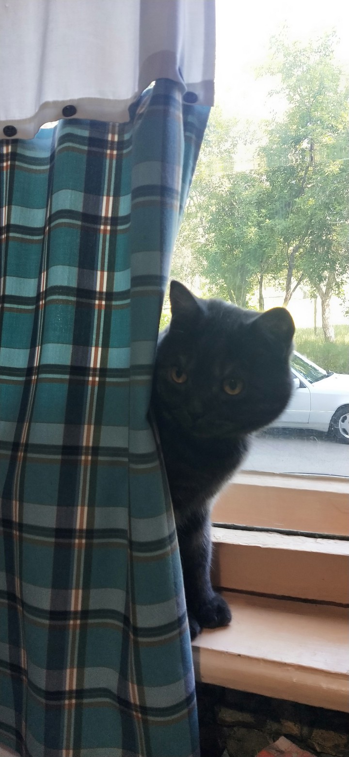 дежавю))