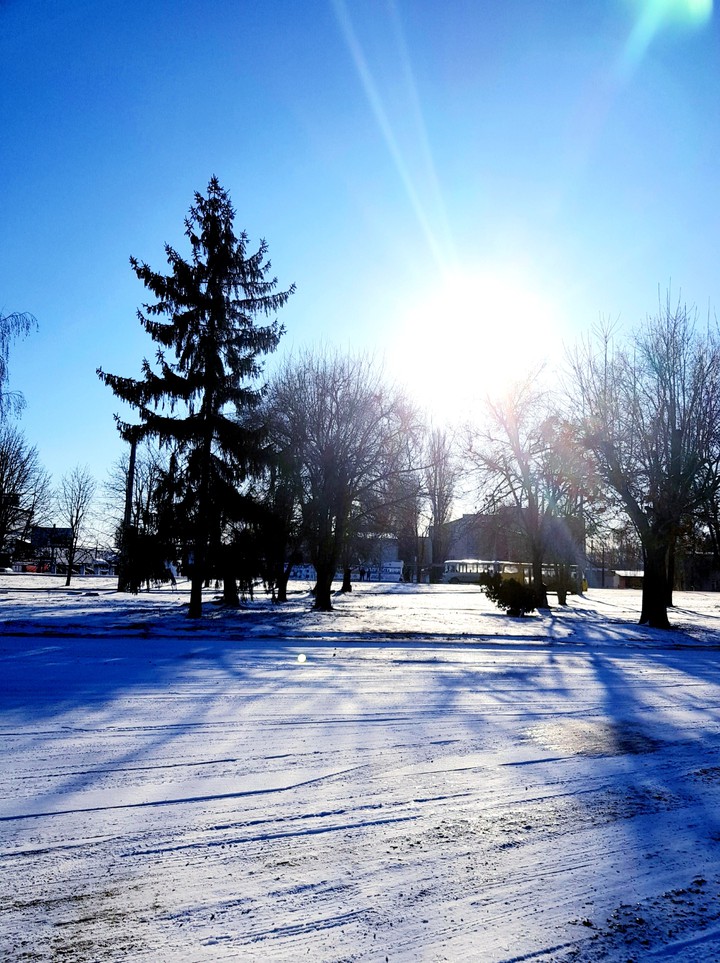 Winter