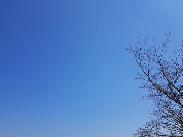 봄의 하늘