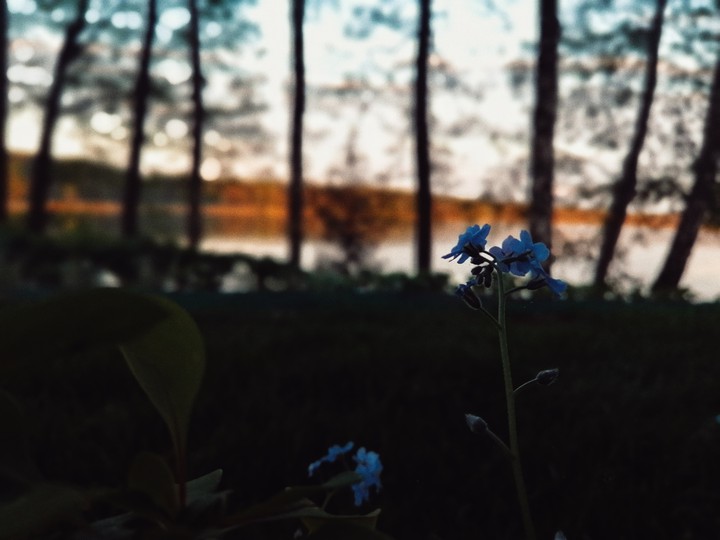 вечер