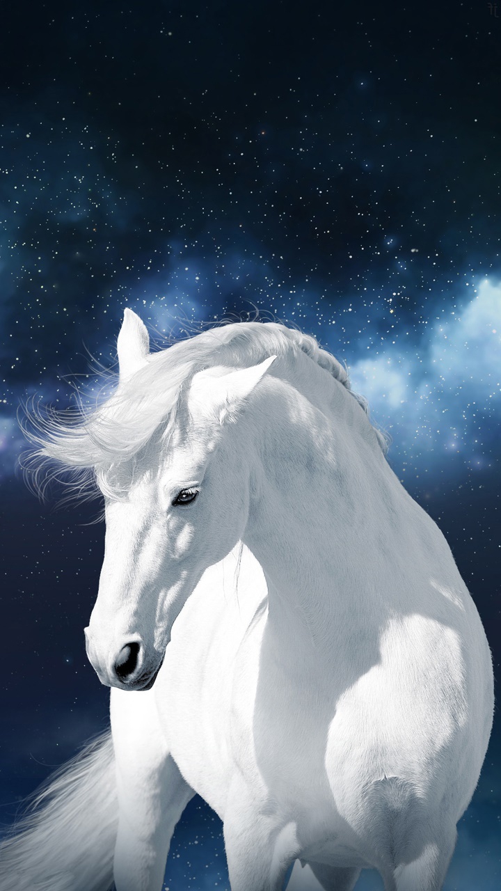 white horse