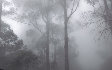 and that was a cold cold morning