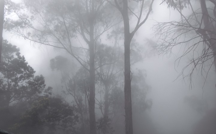 and that was a cold cold morning 