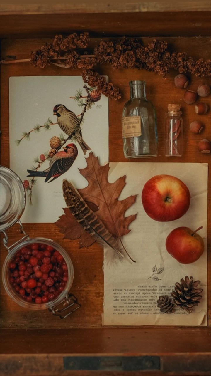 Autumn is my favorite season.  What is yours?