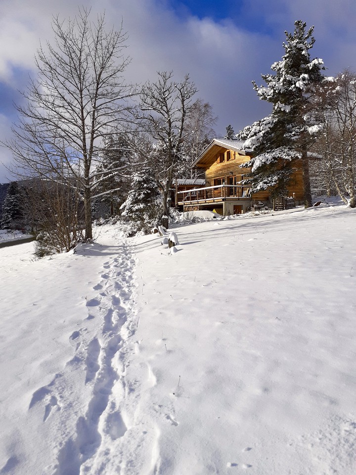 Winter wonderland