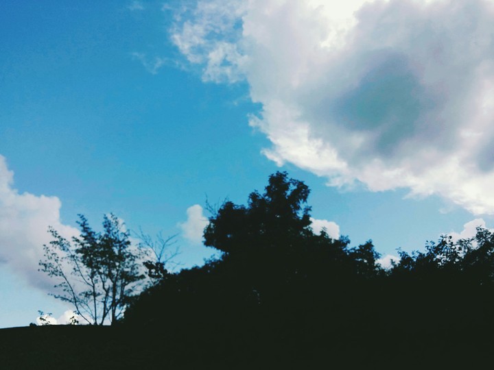 하늘