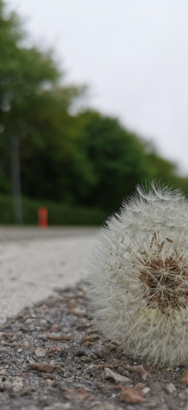 Alone on the road