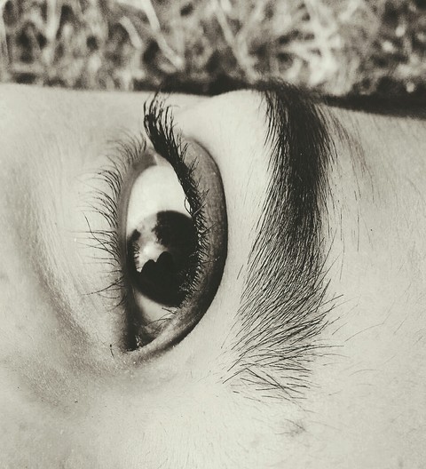 eye