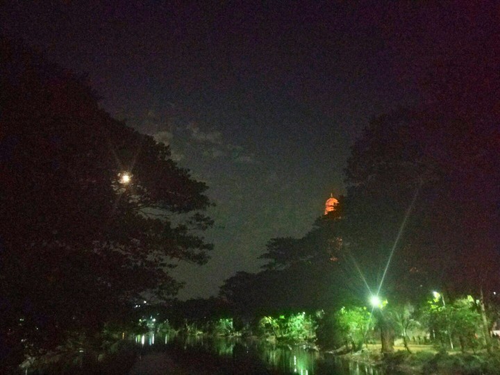 An evening walk near the lake!