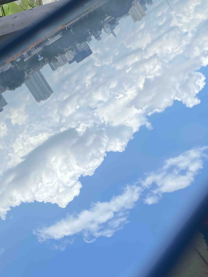 reflected sky ?