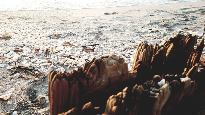 beach blind pass captiva florida