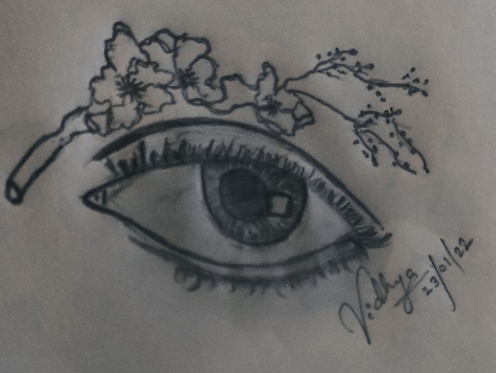 Eye
