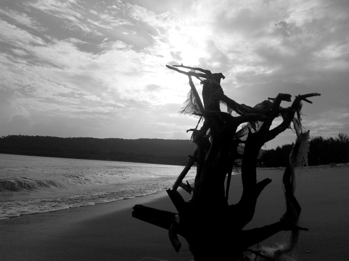 monochrome love #mob click