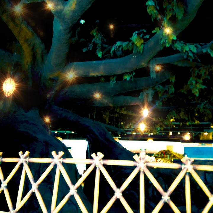 fireflies