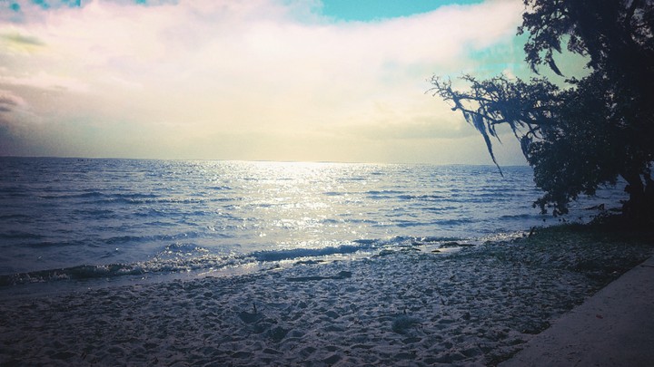 beach