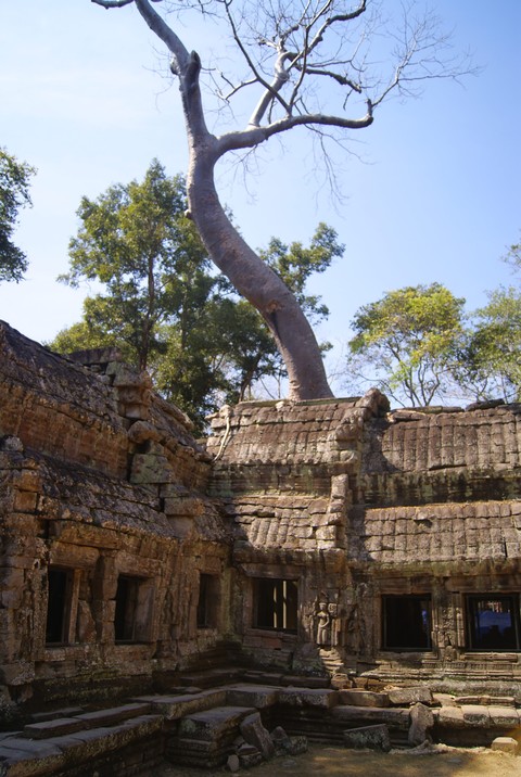 Travel