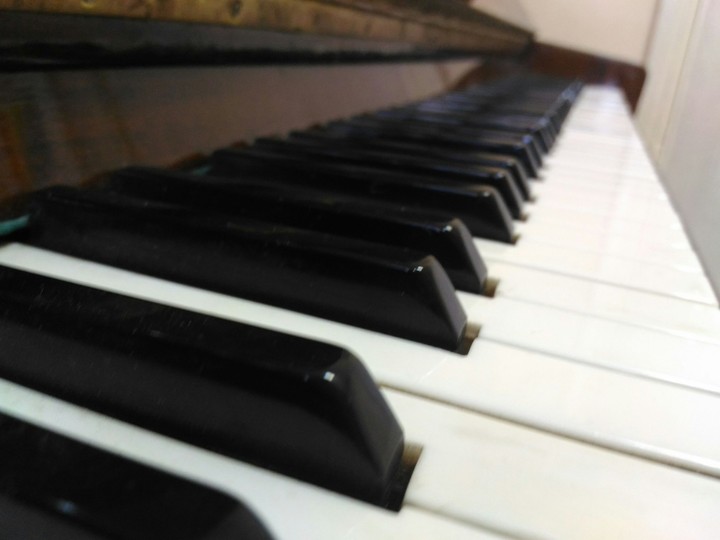 Musician