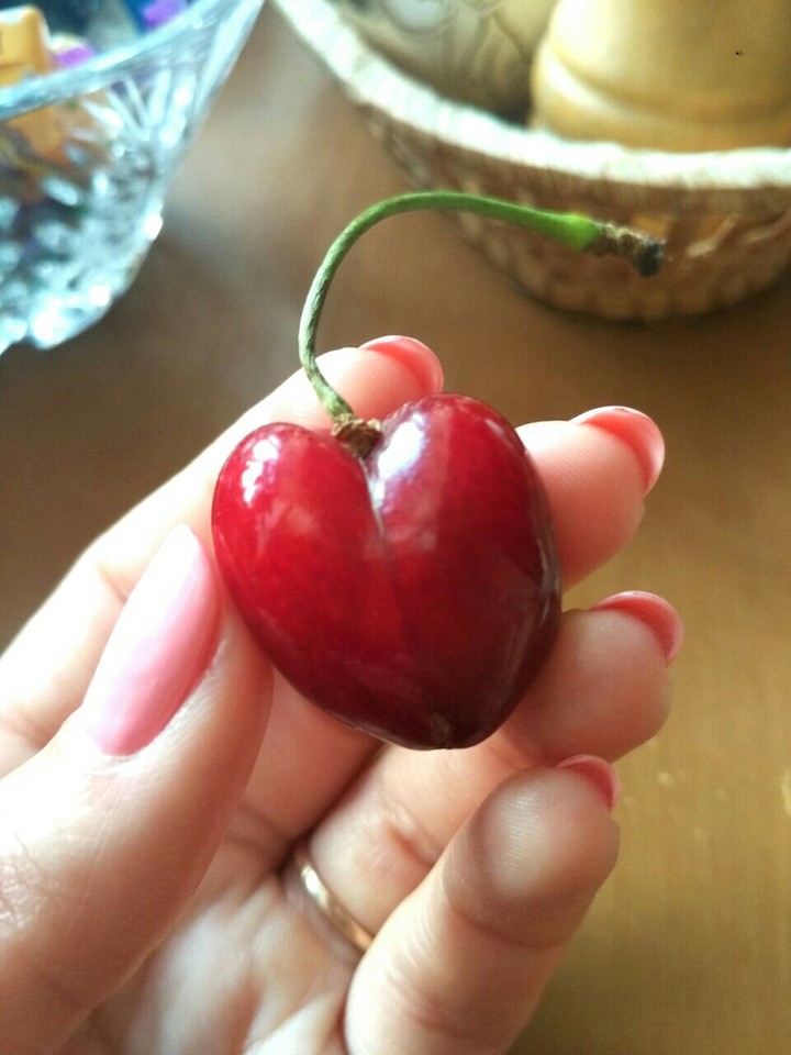 Heart