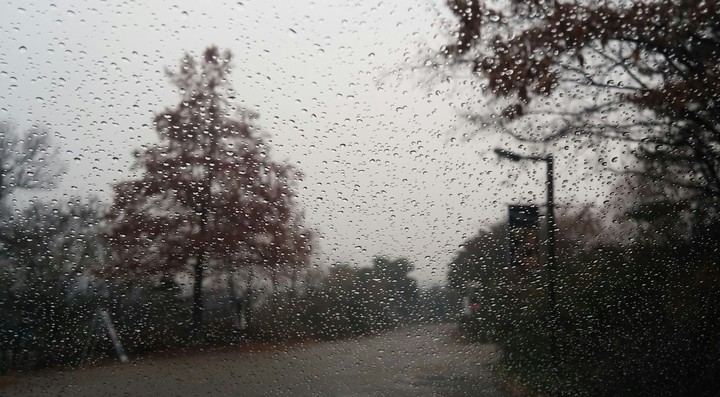 Rainy