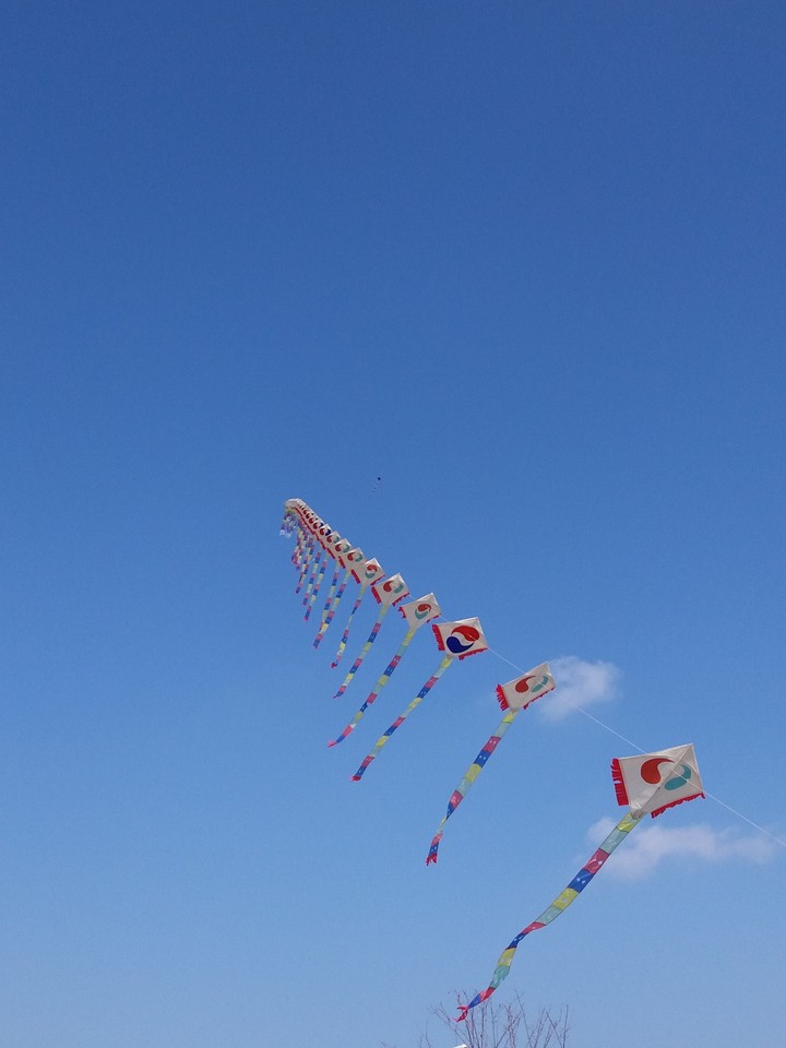 kite