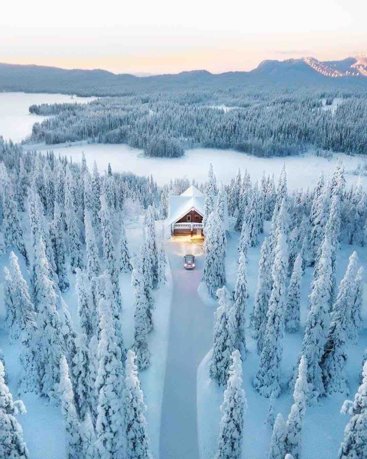 winter