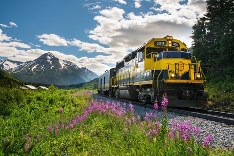 tapety flower, train