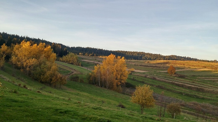 Nature