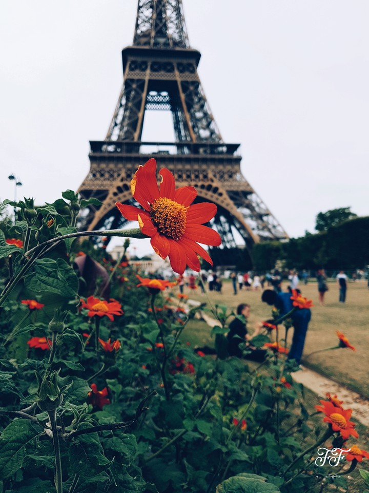 Francia ,Paris