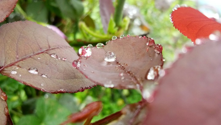 drop