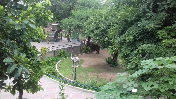 pakistan