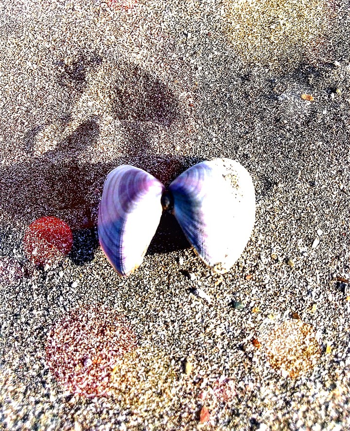 ?❤
