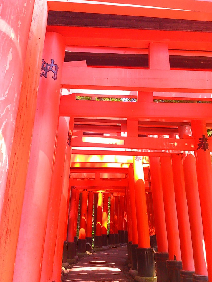 torii gate