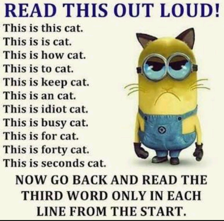 lol