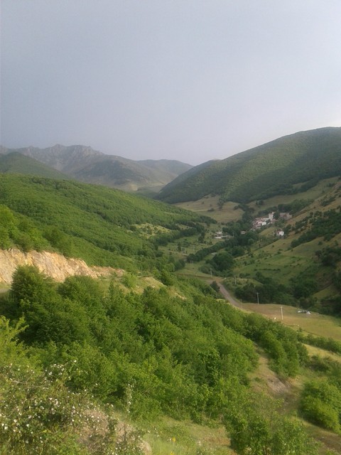 ali.abad