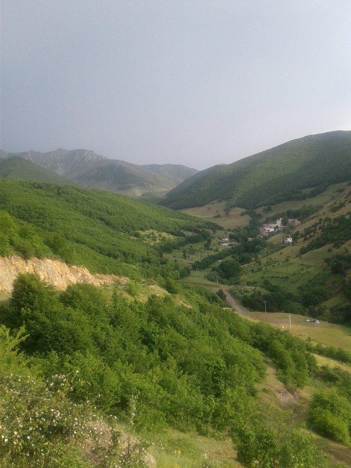ali.abad