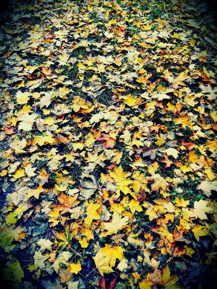 Carpet with leafs.