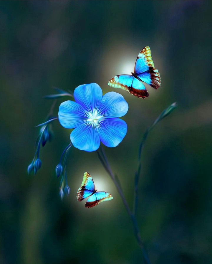 Flower & butterfly