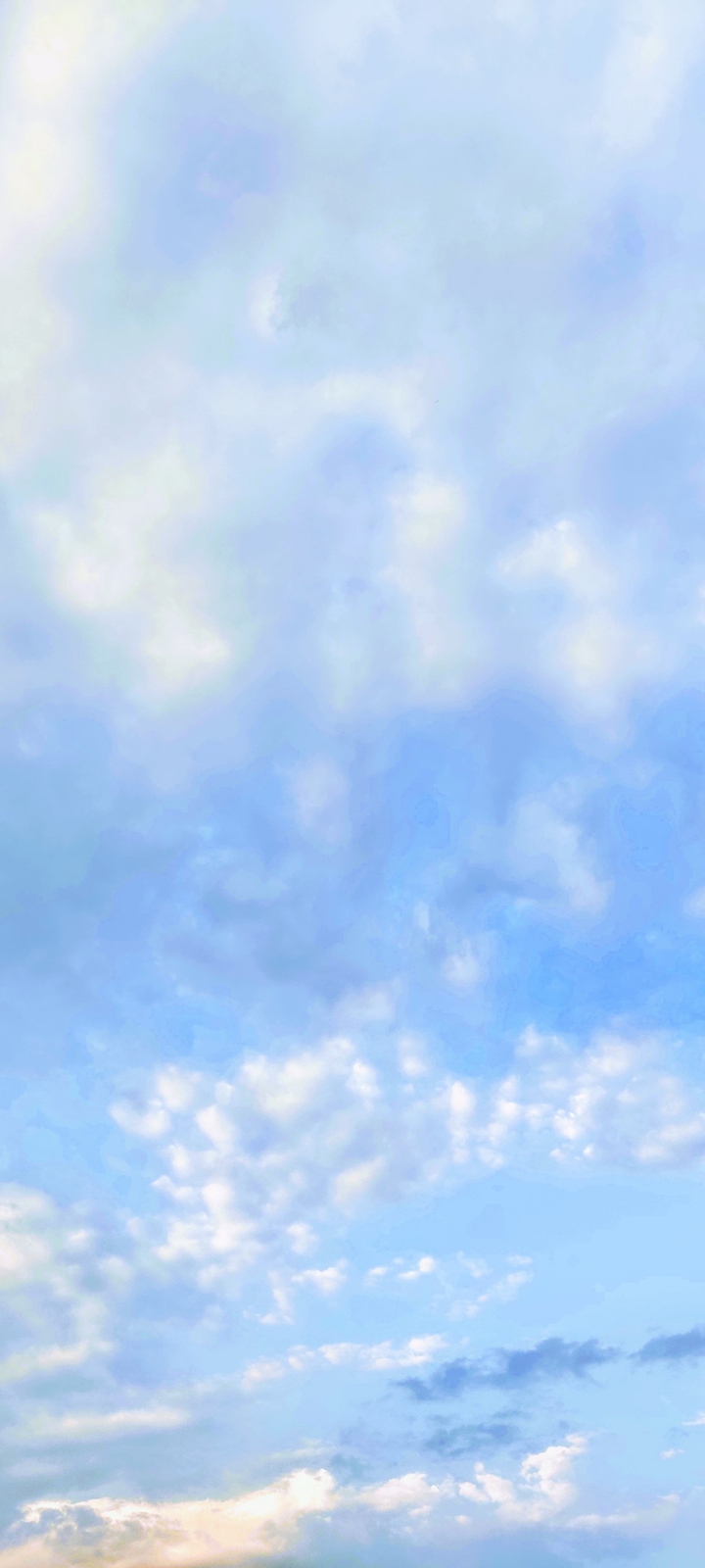 Skies