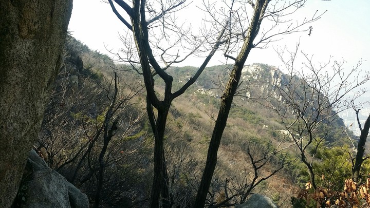 겨울의