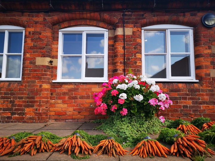 Carrots & Flowers