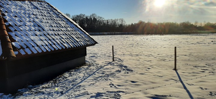 winter in Eibergen