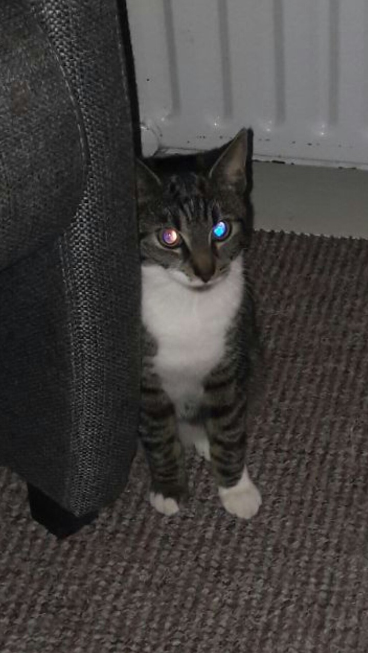 Beauty eyes
